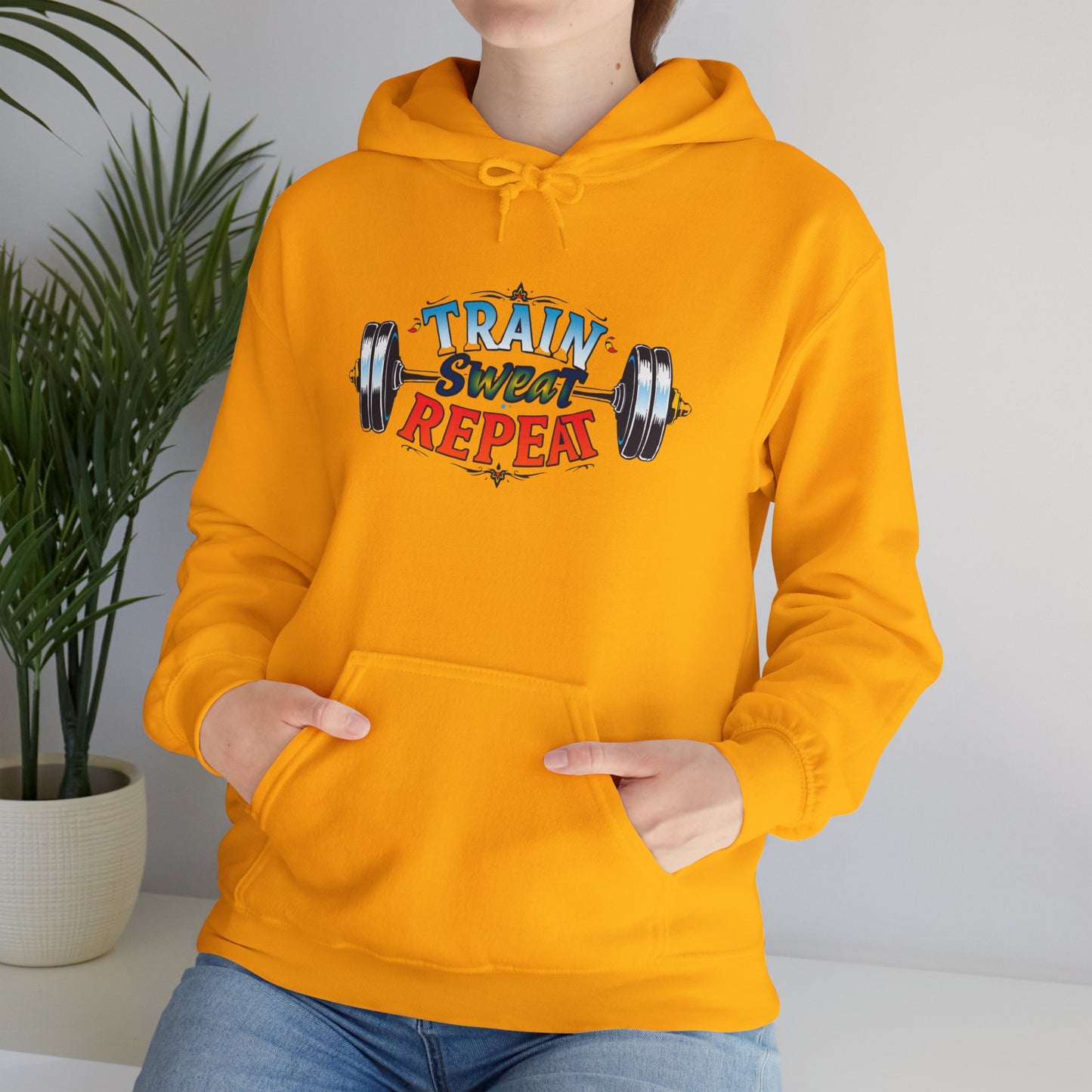 Hooded Sweatshirt Train, Sweat, Repeat Design